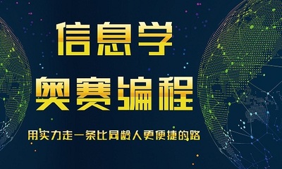沈陽(yáng)專業(yè)信息學(xué)奧賽寒假班與網(wǎng)絡(luò)安全信息咨詢服務(wù)推薦